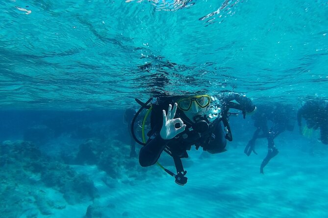 Chania: Scuba Diving for Beginners - Chania Is a Smart Place to Try Scuba for the First Time