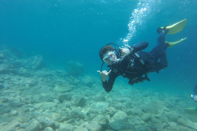 Chania: Scuba Diving for Beginners - Around 8 Meters: What You’ll Likely See and Why It’s the Right Depth