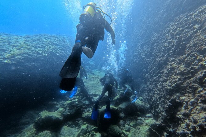 Chania Scuba Diving | Shore Dives | Certified Divers - Key Highlights Worth Booking