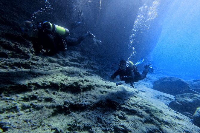 Chania Scuba Diving | Shore Dives | Certified Divers - What You’ll See: Octopus, Lionfish, and the Rest of the Cast
