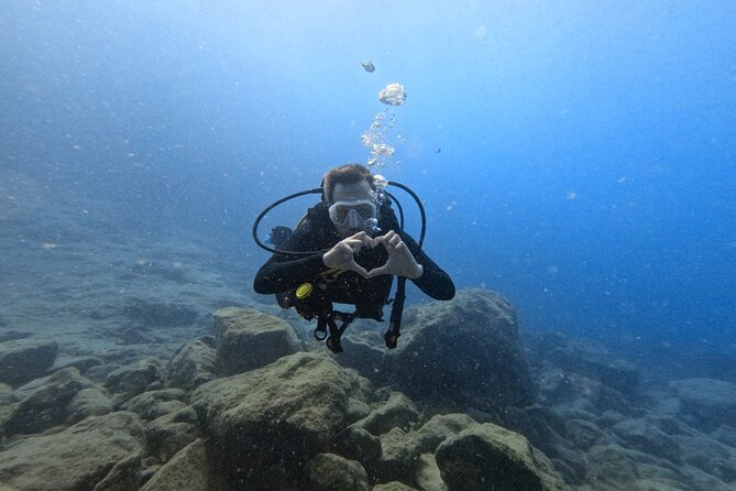 Chania Scuba Diving | Shore Dives | Certified Divers - The Sheltered Shore Spot: A Calm Start for Real Wildlife