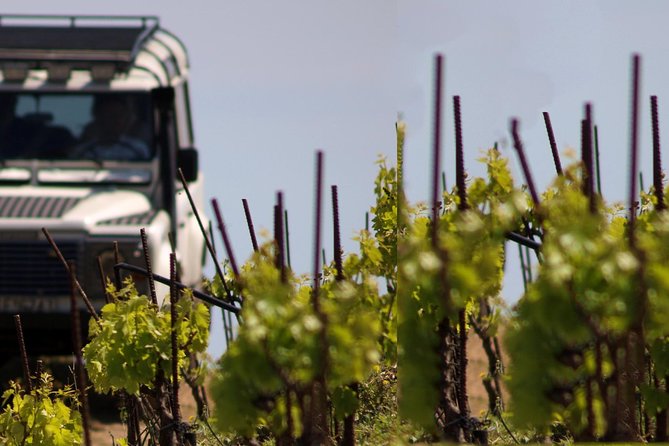 Chania Shore Excursion Off Road Vineyard and Winery Tour Half Day - How the Half-Day Format Works From Souda or Chania