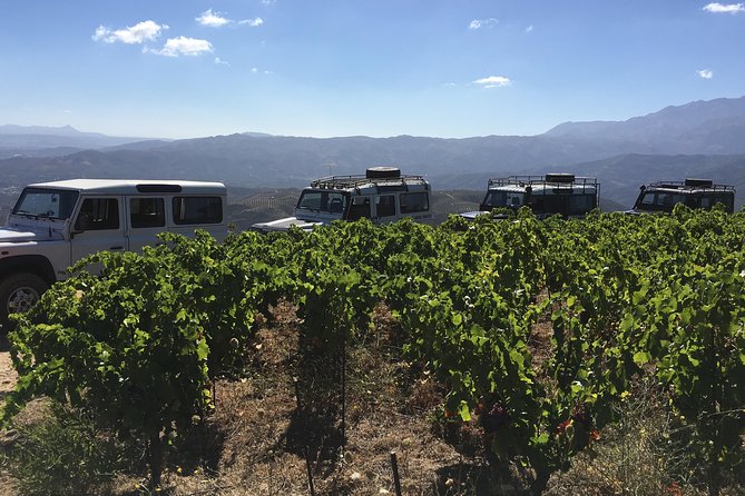 Chania Shore Excursion Off Road Vineyard and Winery Tour Half Day - Stop 2: Manousakis Winery Walk-Through and the Five-Wine Tasting