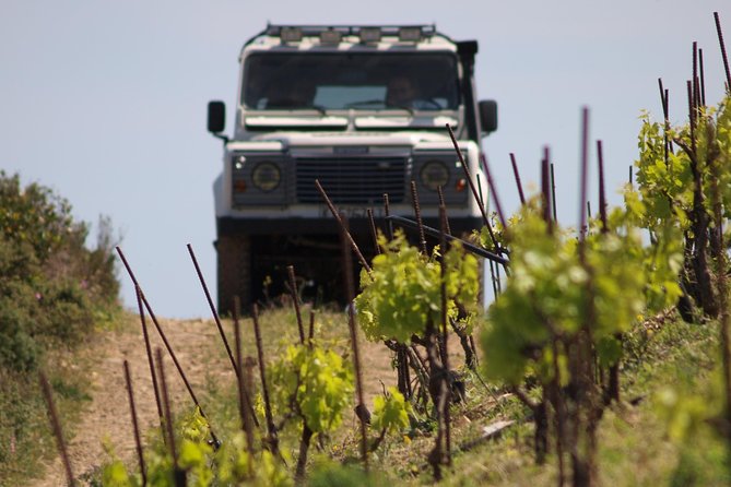 Chania Shore Excursion Off Road Vineyard and Winery Tour Half Day - The Guiding Style Makes a Big Difference
