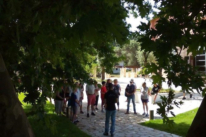 Chania Shore Excursion Off Road Vineyard and Winery Tour Half Day - Who Should Book, and Who Should Skip This Off-Road Wine Day