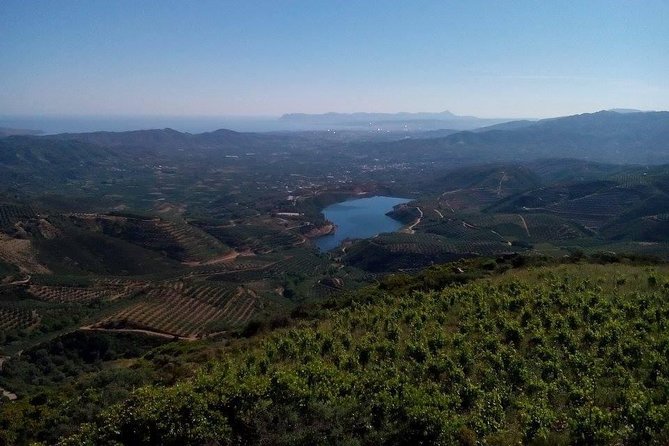 Chania Shore Excursion Off Road Vineyard and Winery Tour Half Day - Timing and What to Do Before You Go