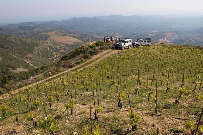 Chania Shore Excursion Off Road Vineyard and Winery Tour Half Day - Value for $107.17: What You’re Really Paying For