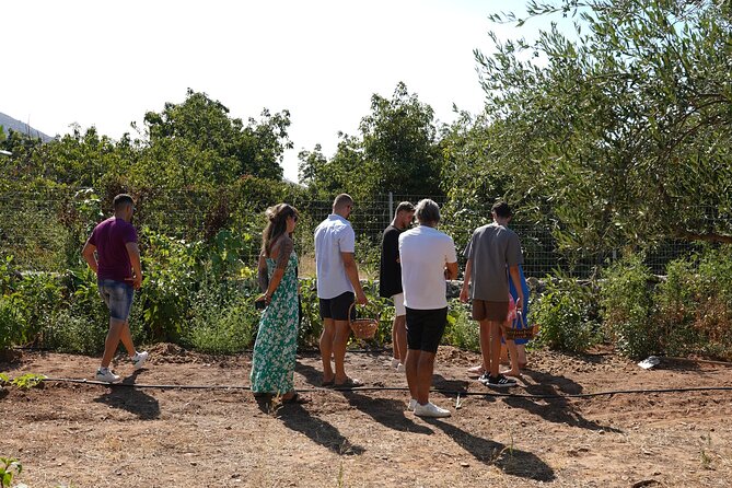 Chania Sourdough Bread Class - Olive Oil Tasting - Olive oil tasting you can actually use, with local wine