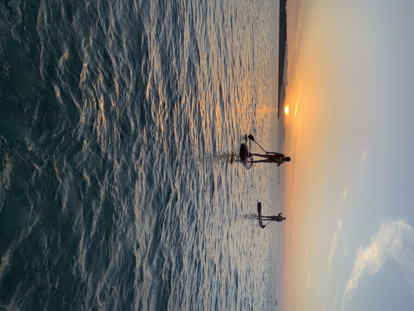 Chania: Stand-up Paddleboard Coastal Sunset Experience - Sea turtles and the joy of looking around