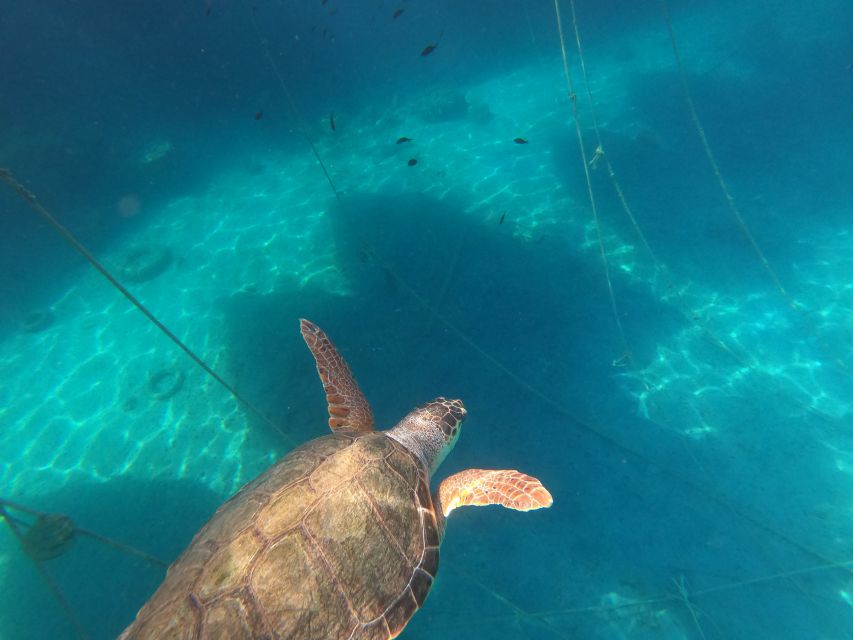 Chania: Stand-Up Paddleboard Small Group Tour - The argile rocks and the white-clay spa moment