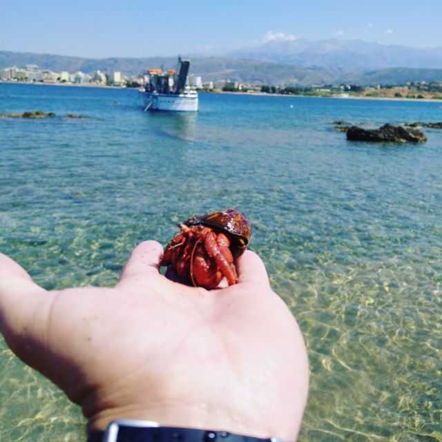 Chania Town: Glass-Bottom Boat Cruise to Thodorou & Lazareta - Thodorou Island and Kri Kri goats: wildlife with a WWII twist