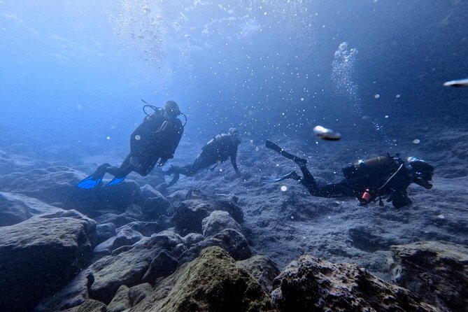Chania | Try Scuba Diving | Introduction Dive - Quick hits before you go