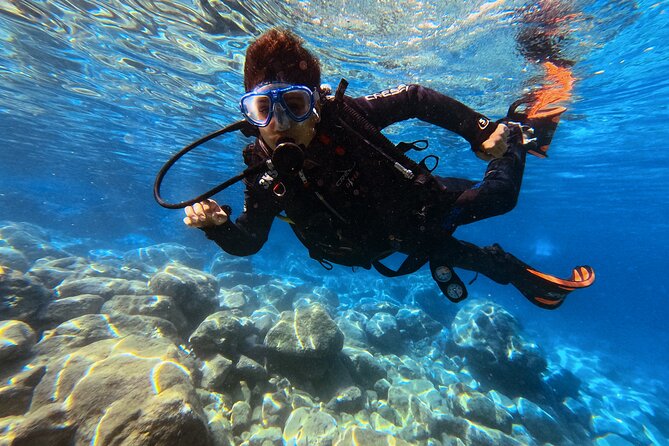 Chania | Try Scuba Diving | Introduction Dive - Marine-Life Watching Tips That Make the Most of Your Time