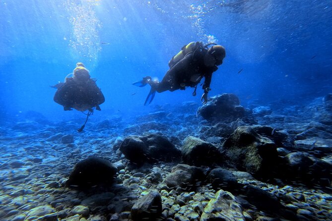 Chania | Try Scuba Diving | Introduction Dive - Gear, Group Size, and the Comfort Factor