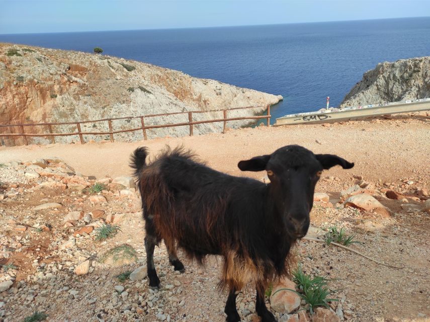 Chania Villages Private Tour: Explore the Authentic Crete! - Price and Logistics: What $194 Buys You