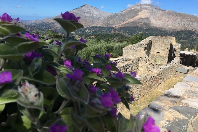 Chania White Mountains Private Tour: From Sea to Summit! - From Chania Toward Lefka Ori: How This Sea-to-Summit Day Works