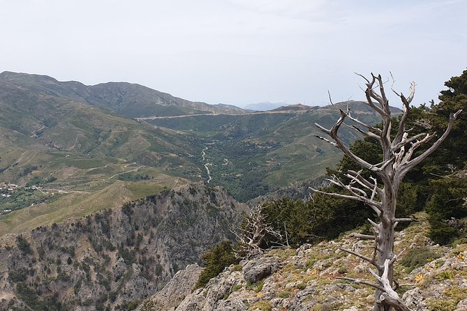 Cretan Safari – 4x4 Adventure to Preveli Beach with Lunch - The Route Logic: Big Contrasts in One Long Day