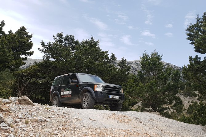 Cretan Safari – 4x4 Adventure to Preveli Beach with Lunch - Stop 3: Prasses Gorge (Prasses Gorge) for Vulture-Spotting and Cliff Views