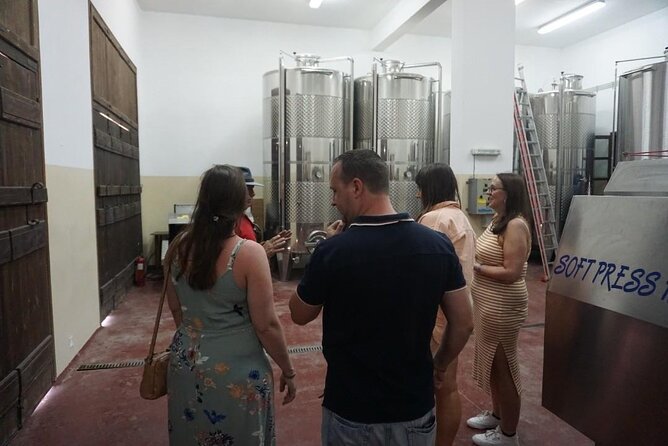 Cretan Wines & Olive oil tour - The treasures of Crete - What you’re really paying for at $145.18 per person
