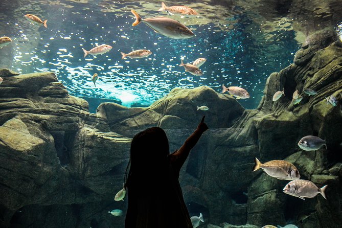 CRETAquarium Entrance Ticket in Crete - Cretaquarium of Hellenic Centre for Marine Research: good value for a sea-life stop