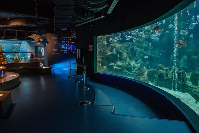 CRETAquarium Entrance Ticket in Crete - Using the ticket: simple entry and easy pacing