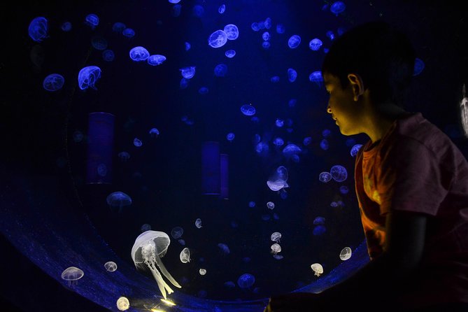 CRETAquarium Entrance Ticket in Crete - Facilities that make the visit comfortable: parking, cafeteria, and sea views