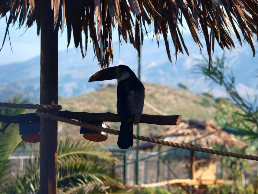 Crete: Agios Nikolaos, Kritsa and Amazonas Park Day Trip - Should you book this Agios Nikolaos, Kritsa, and Amazonas Park day trip?