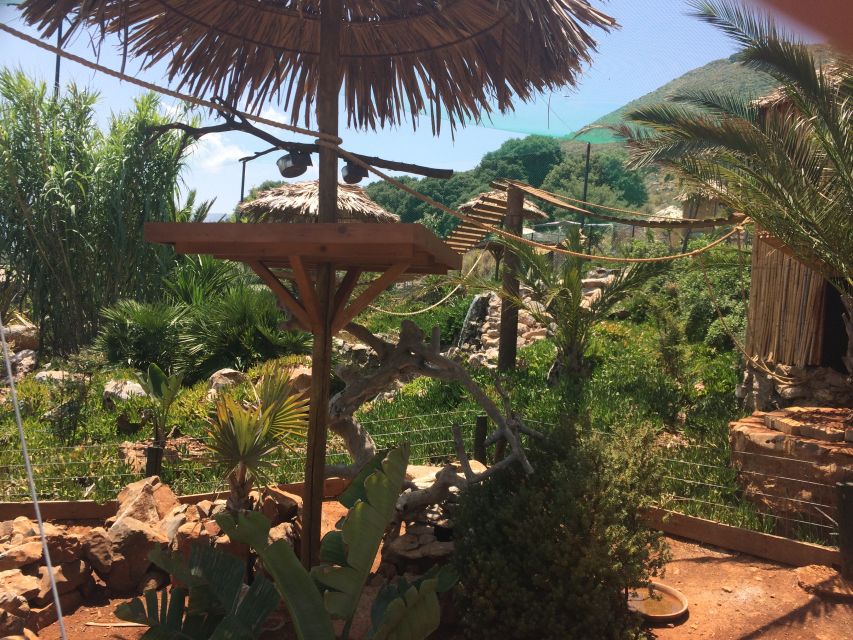 Crete: Agios Nikolaos, Kritsa and Amazonas Park Day Trip - What the guide adds (and why it matters on this route)