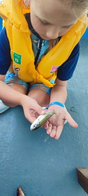 Crete: Boat Cruise with Fishing, Swimming, Lunch, and Drinks - The kaiki fishing lesson: where the tour becomes yours