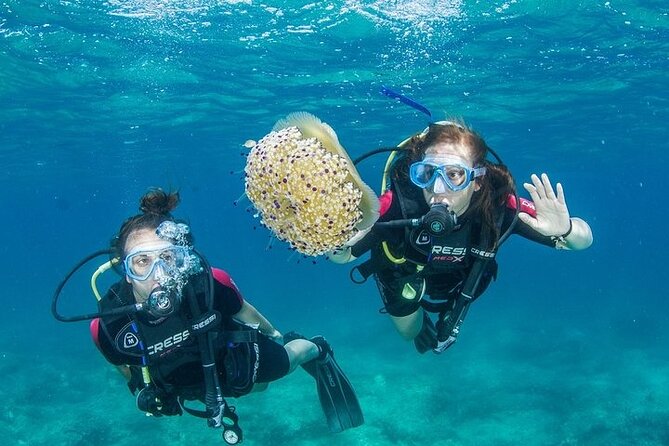 Crete-Chania: Snorkeling & Scuba Dive for Beginners by Boat - Key Highlights You’ll Feel Fast