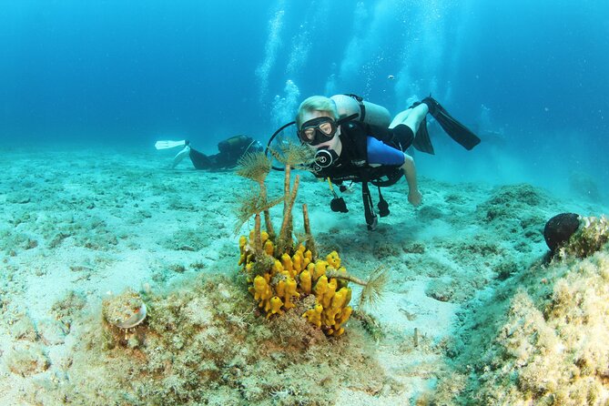 Crete-Chania: Snorkeling & Scuba Dive for Beginners by Boat - Blue Cave Snorkeling: The One-Hour Stop With Big Visual Payoff