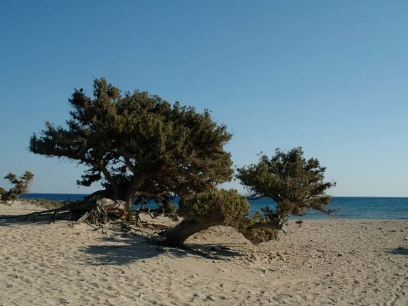 Crete: Chrissi Island Yacht Cruise with Lunch & Snorkeling - Booking Details: Passport Info and Why It’s Not Just Bureaucracy