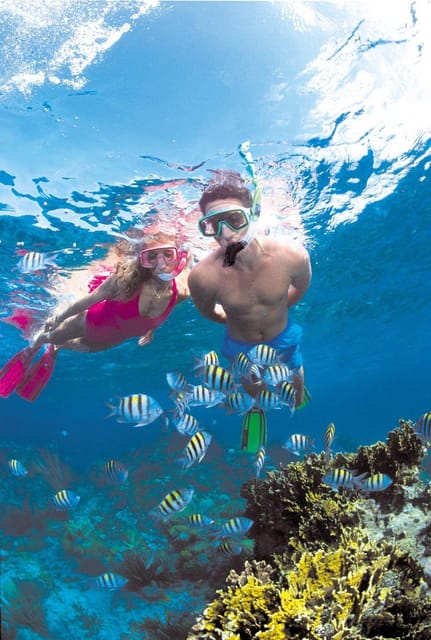 Crete: Coastline Snorkeling Cruise from Hersonissos Port - A Short Noon Sail That Fits a Swim-First Day
