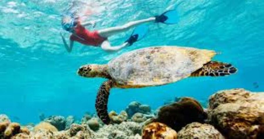 Crete: Coastline Snorkeling Cruise from Hersonissos Port - Value for $35: When This Is a Smart Buy