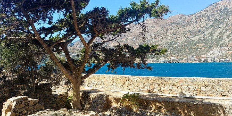 Crete: Day Trip to Agios Nikolaos and Spinalonga Island - Timing, Drop-Offs, and the Slightly Long Ride Home