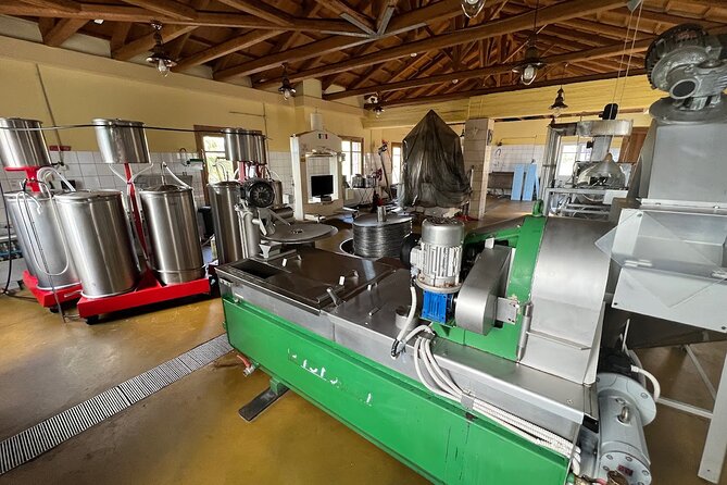 Crete Discovery Palace of Knossos, Wine and Olive Oil Experience - Private van comfort and how the pacing works