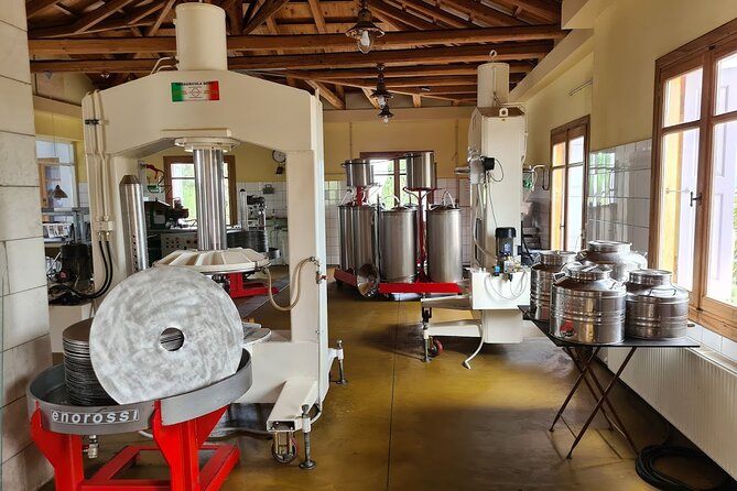Crete Discovery Palace of Knossos, Wine and Olive Oil Experience - Why this mix of stops works so well