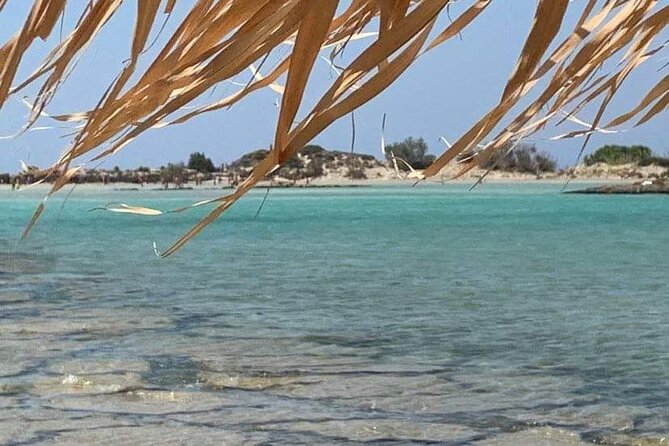 Crete: Elafonisi – 4 hours in the beach - Key highlights at a glance