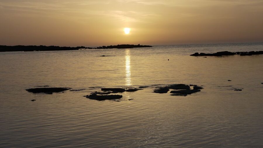 Crete: Elafonisi Pink Beach Excursion - The long Crete drive: coach comfort, real timing, and what to expect