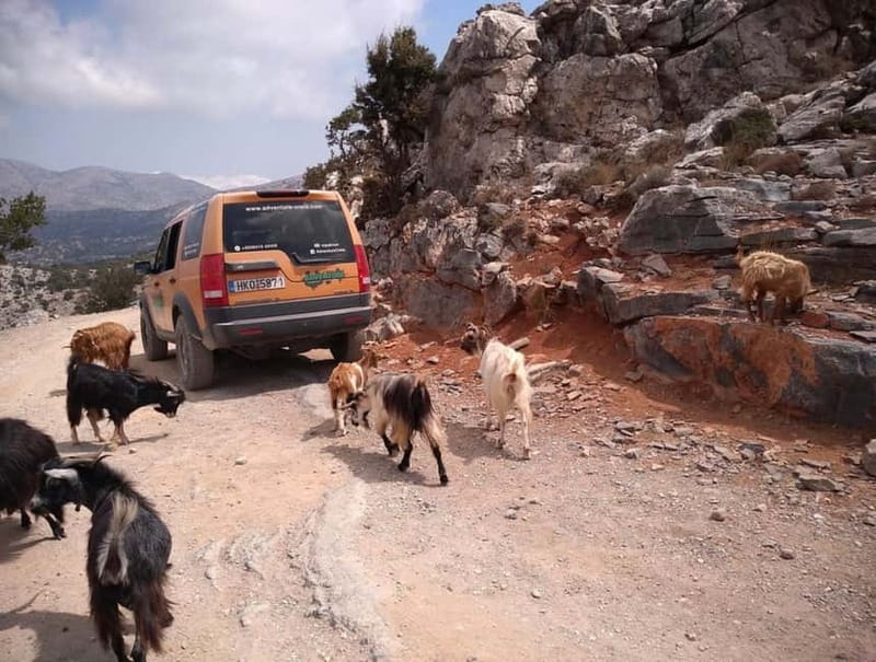 Crete: Full-Day Private Tour - Gorge walks and when swimming is (and isn’t) realistic