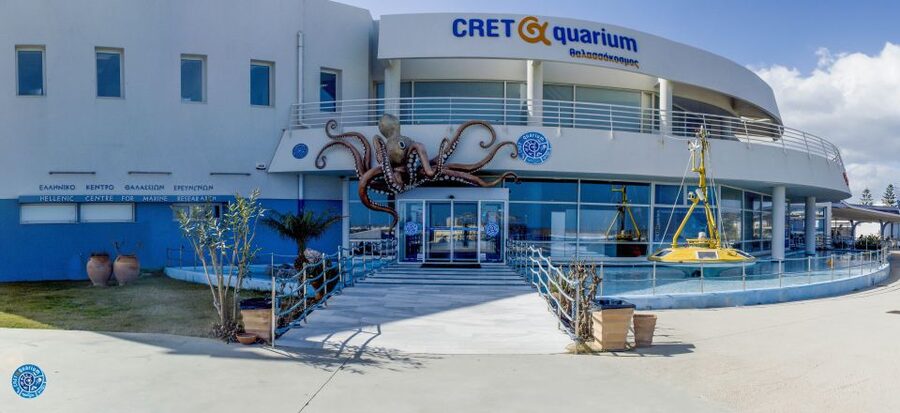 Crete: Heraklion Center, Local Market and Creta Aquarium - Cretaquarium first: how to make the most of your 80 minutes