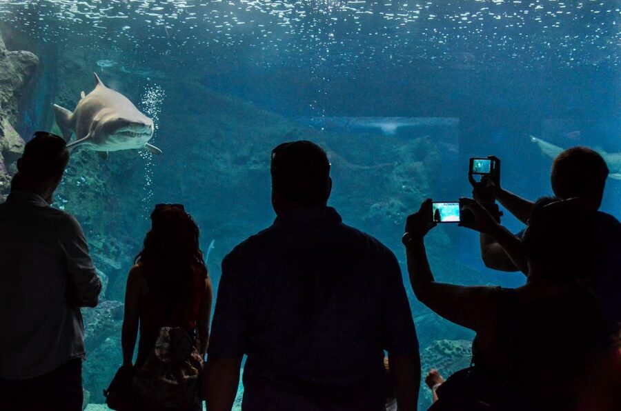 Crete: Heraklion Center, Local Market and Creta Aquarium - Who should book this tour, and who might want to skip it