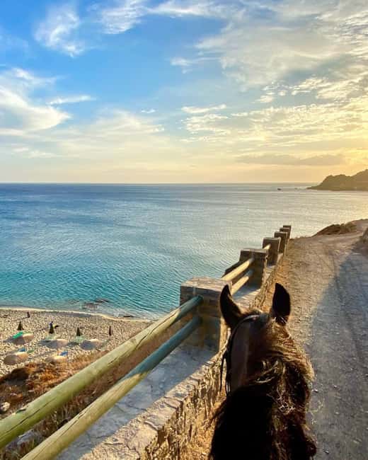 Crete Horse Riding: East Coastline Ride - Key points to know before you book