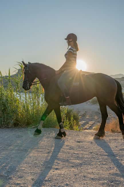 Crete Horse Riding: East Coastline Ride - A 90-Minute Horse Ride Along Crete’s Eastern Coast