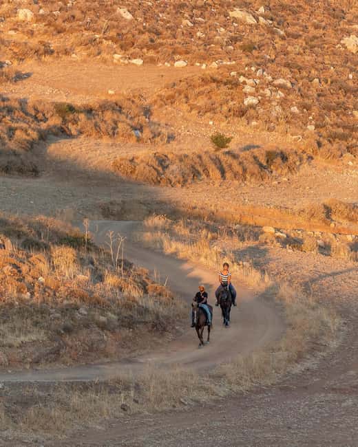 Crete Horse Riding: East Coastline Ride - Olive Groves Toward Damnoni Beach: The Classic Start That Sets the Tone