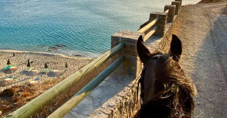 Crete Horse Riding: East Coastline Ride - What to Bring for Comfort in the Mediterranean Sun