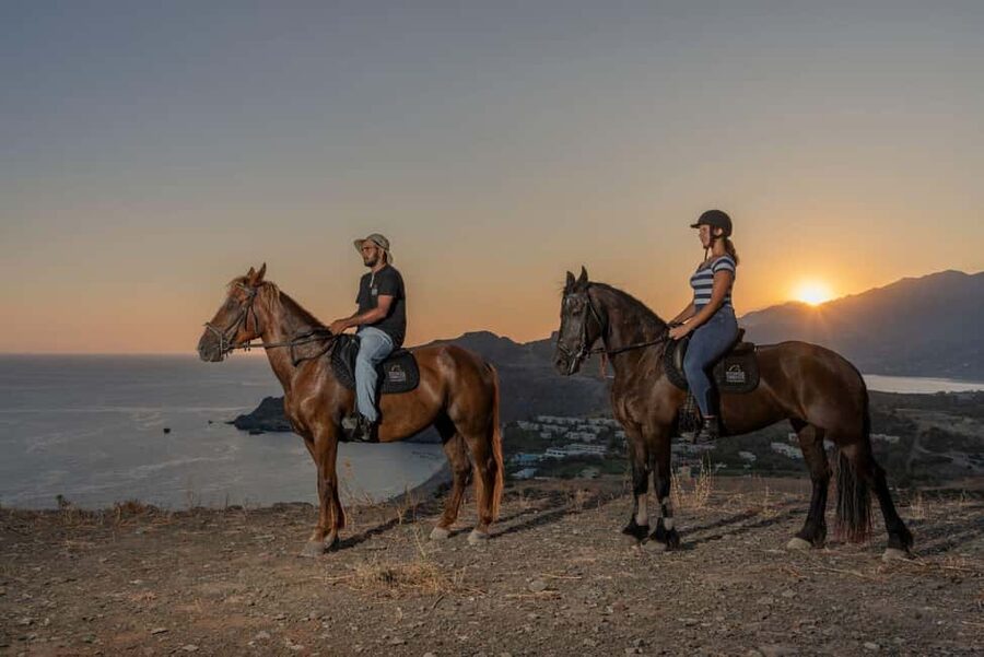 Crete Horse Riding: East Coastline Ride - Meet the Horses, Then Let the Guides Handle the Rhythm