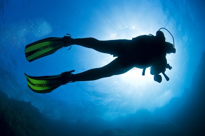 Crete Introductory Scuba Diving Experience - Instructor Quality: The Biggest Reason People Rate This So High