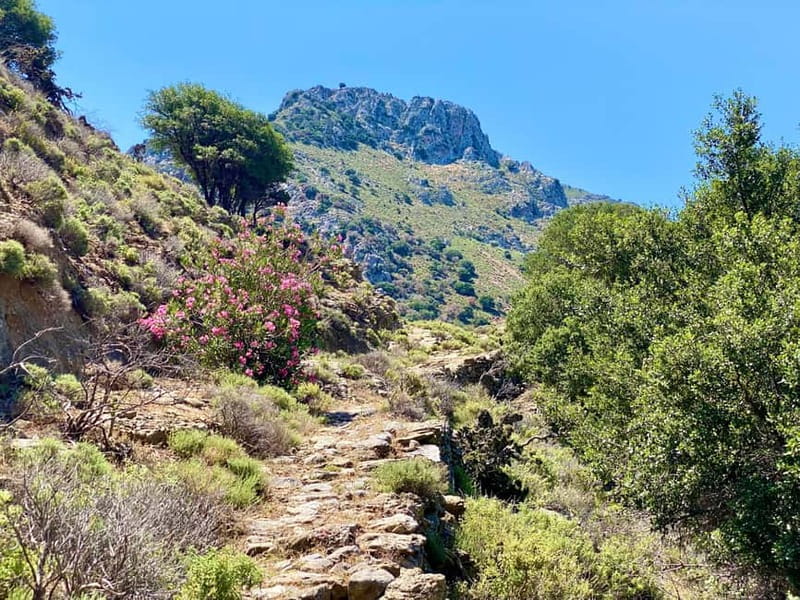 Crete: Kavousi Canyon Guided Hike & Beach Swim - Key highlights you’ll feel on day one