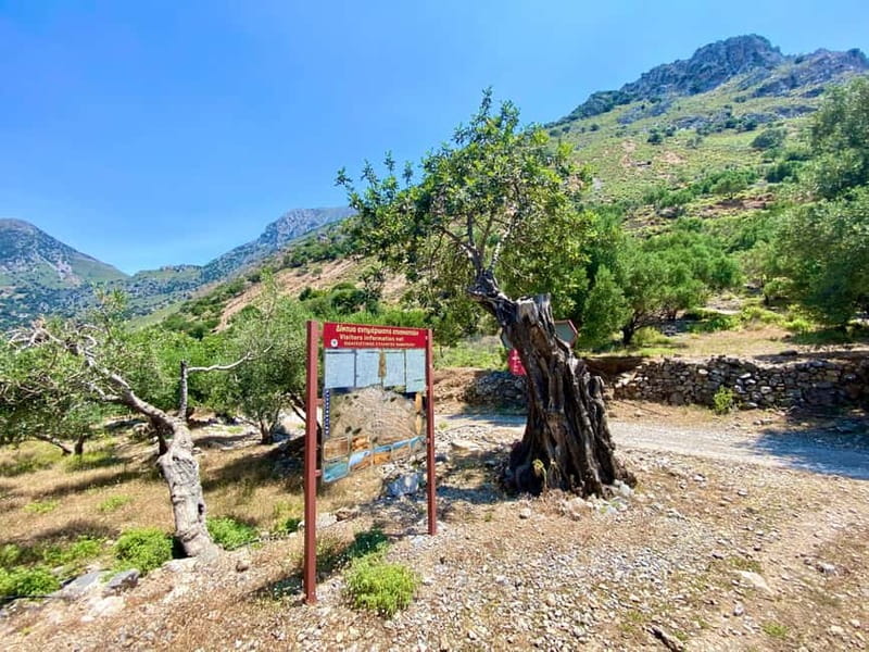 Crete: Kavousi Canyon Guided Hike & Beach Swim - Azorias stop: ancient settlement with mountain-and-sea views